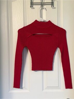 Say What? Pink/Red Ribbed Mock Neck Crop Top